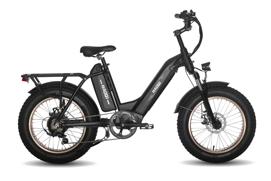 HAOQI Antelope Pro Cargo
